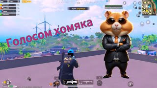 Димачак Голосом Хомяка #димачак #pubgmobile