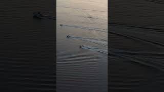 Boats in the Narragansett Bay 4K Aerial Drone Stock Footage