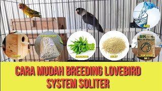 BREEDING BURUNG LOVEBIRD SYSTEM SOLITER...