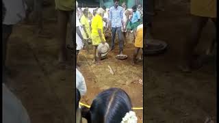 Aruppukottai Panguni Pongal Pookuli  2024 #aruppukottai  #shortsvideo #shorts #muthumariammankovil