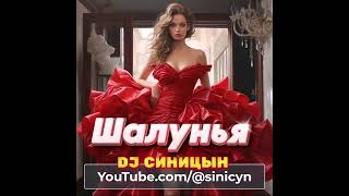 DJ СИНИЦЫН - Шалунья