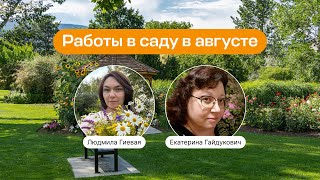 Работы в саду в августе | Прямой эфир школы «Умный садовник»