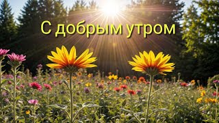 С ДОБРЫМ УТРОМ #доброеутро #музыкальныеоткрытки