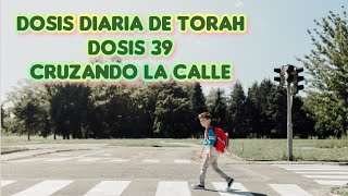 Dosis Diaria de Torah. Dosis 39, Cruzando la Calle. Rab Benni Aharonov