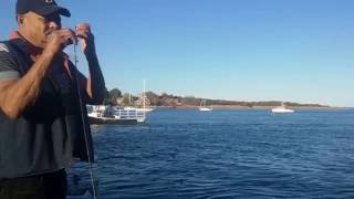 Fishing at Newburyport #4