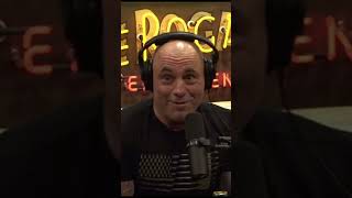 Ari Shaffir Does a Lot Of Drugs - Joe Rogan LOL #shorts