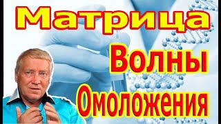 Матрица Волны Омоложения Можно Слушать Вечно.