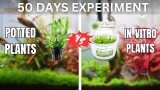 I Tested Potted Plants Against Lab Plants! Here's What Happened