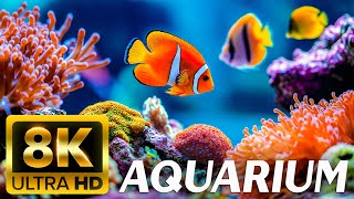 THE BEST 8K AQUARIUM For Relaxation 🐠 Relaxing Oceanscapes - Sleep Meditation 8K UHD Screensaver