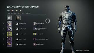 Arc look for hunter destiny 2