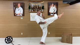 Kyokushin - Legs training “Advanced”