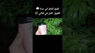 ليلة ماطرة في جدة #short #shorts #shortvideo #امطار #امطار_جدة #امطار_جده #ترند_السعودية #ترند