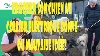 FAIRE OBEIR SON CHIEN AVEC LE COLLIER ELECTRIQUE  ET NE PAS ETRE AGRESSIF/ GOLDEN RETRIEVER