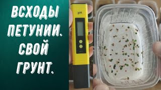 ЭТА СЕРИЯ ПЕТУНИИ ВСЕГДА ПЛОХО ВСХОДИТ. ПРО СВОЙ ТОРФОГРУНТ.