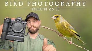 Bird Photography with the Nikon Z6 II - Irish Wildlife Photography