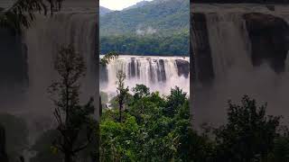 Athirappilly Water Falls #shorts