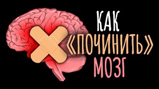 Как вырастить новые нейроны и как мозг сам себя лечит / #ТЕДсаммари