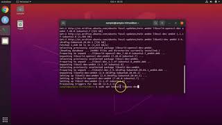 How to install the R Package 'ENMEval' (and 'xml2,' 'tidyverse,' 'rJava') under Ubuntu Linux 20.04