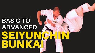 Seiyunchin Bunkai: Basic and Advanced for Goju Ryu