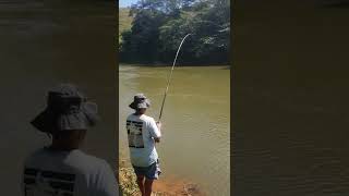 QUANDO OLHAMOS PARA VARA JA ERA TARDE DE MAIS 'Pesca de piau'!