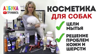 Косметика для собак - что выбрать? Последствия использования человеческого шампуня