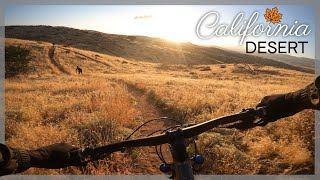 Mountain Biking A Beautiful California Desert In The Fall | Palmdale, Antelope Valley Trials | P-12