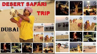 Desert Safari complete trip - Dream Night Tours in Dubai