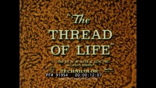 “ THE THREAD OF LIFE " 1960 HUMAN & PLANT GENETICS, CHROMOSOMES & DNA DOCUMENTARY  PART 1 91954