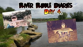 River Ribble Fishing Diaries Day 4. Barbel Bream Chub