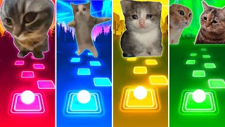 Chipi Chipi Chapa Chapa Cat vs Happy Happy Happy Cat vs Sad Cat vs Talking Cats - Tiles Hop EDM Rush