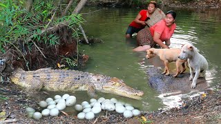 survival in the rainforest - Catch Crocodile and Chicken - Fried Chicken for dog Eating delicious HD