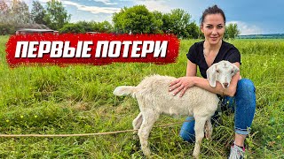 Всё пошло не по плану! | Орловская обл, Колпнянский р/н д. Удеревка