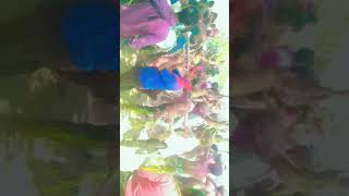 Mere Gaon Mein Kapda faad Holi Kheli Jaati Hai #funny #shorts #trending