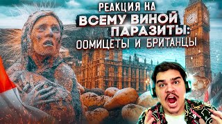 ▷ Картофельный голод в Ирландии (ЭТО ЗВЕЗДЕЦ...) l РЕАКЦИЯ на Иван Зайцевский