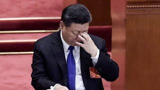 习近平反腐开杀戒：死刑不缓期，直接执行！一亿贪污是红线，小官腐败人头落地：六度解析20240908