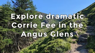 Explore Corrie Fee in the Angus Glens with me.