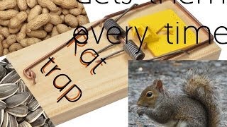 How to make an easy squirrel trap