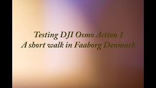 Testing DJI Osmo Action Short Walk in Faaborg Denmark