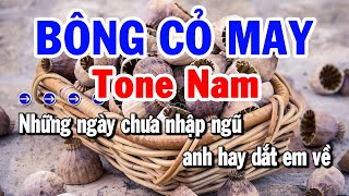 Karaoke Bông Cỏ May Tone Nam ( C#m ) Nhạc Sống Rumba | Karaoke Tuyển Chọn