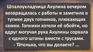 Шпалоукладчица Акулина 42 года и Два Гопника! Сборник Самых Свежих Анекдотов!