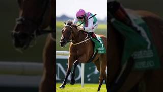 Keeneland Phoenix Stakes (Group 1) Winner Babouche