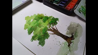 Drawing trees with watercolor