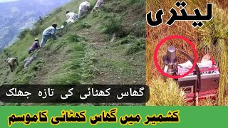 کشمیر میں گھاس کھٹائی کا موسم // لیتری   میں اسو کا منظر آپ کی نظر//kashmir view