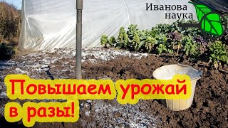 БЕСПЛАТНОЕ УДОБРЕНИЕ № 1 ДЛЯ ВНЕСЕНИЯ ОСЕНЬЮ и РАННЕЙ ВЕСНОЙ. Не забудьте внести это удобрение.