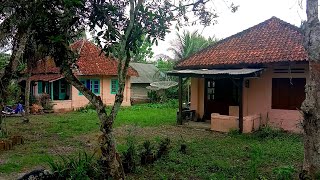 Kampung peninggalan belanda di hutan karet yang tidak di huni lagi