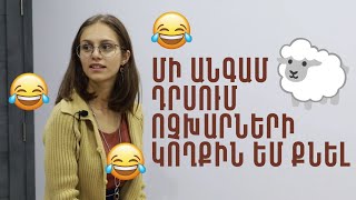 Հարցազրույց FLEX ծրագրի շրջանավարտների հետ