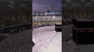 سورة التين | أداء مميز للآسر الشيخ ياسر الدوسري 🕋 #القرآن_الكريم #ياسرالدوسري #shorts #الحرم_المكي