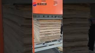 Automatic veneer stacker