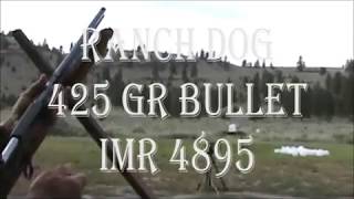 45-70 Bullet Test - Ranch Dog 425 gr