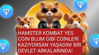 Kripto Paralara Darbe Vuran Hamster Kombat Yes Coin Musk Empire